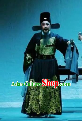 Chinese Yue Opera Official Hu Zongxian Garment and Hat Shaoxing Opera Laosheng Qing Teng Kuang Ge Minister Apparels Costumes