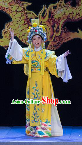 Chinese Yue Opera Xiaosheng Young Male Costumes and Headwear Shaoxing Opera Palm Civet for Prince Garment Apparels Emperor Embroidered Robe