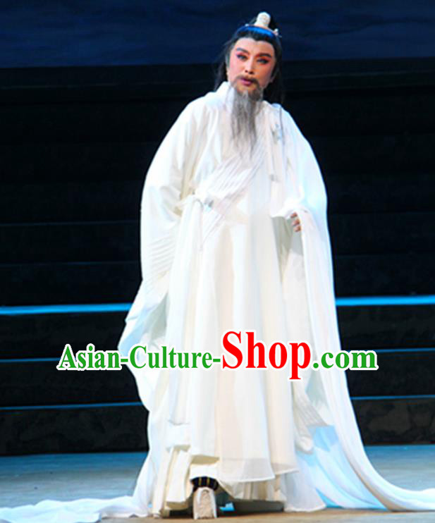 Chinese Yue Opera Poet White Apparels Costumes and Headwear Qu Yuan Shaoxing Opera Laosheng Elderly Male Robe Garment