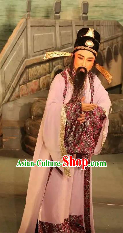 Chinese Yue Opera Ministry Councillor Baihua River Apparels Ling Bing Costumes and Headwear Shaoxing Opera Laosheng Elderly Male Garment