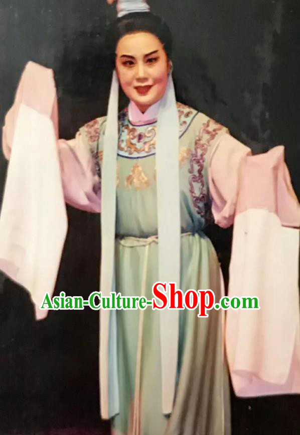 Chinese Yue Opera Xiaosheng Lu Yong Mo Chou Nv Costumes and Headwear Shaoxing Opera Young Male Scholar Garment Apparels