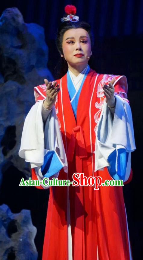 Chinese Yue Opera Young Male Garment Scholar Lu Yong Costumes and Headwear Shaoxing Opera Mo Chou Nv Xiaosheng Apparels