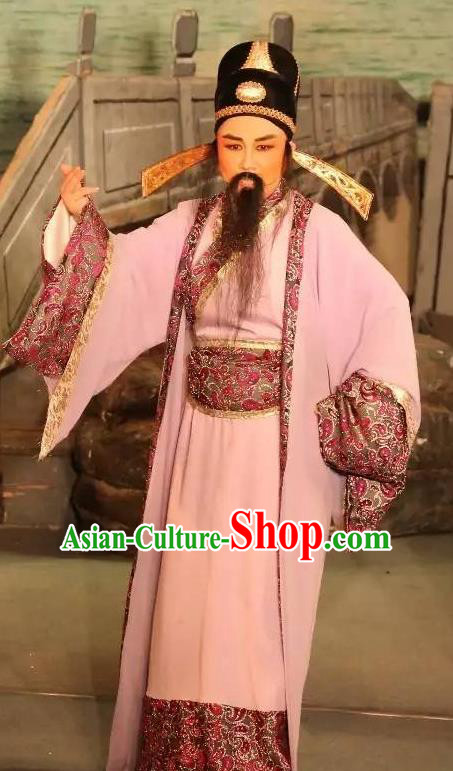 Chinese Yue Opera Ministry Councillor Baihua River Apparels Ling Bing Costumes and Headwear Shaoxing Opera Laosheng Elderly Male Garment