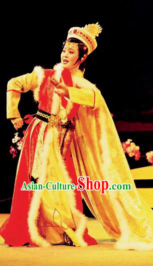 Chinese Shaoxing Opera Rani Princess Cai Wenji Costumes and Headdress Yue Opera Hua Tan Dress Apparels Garment