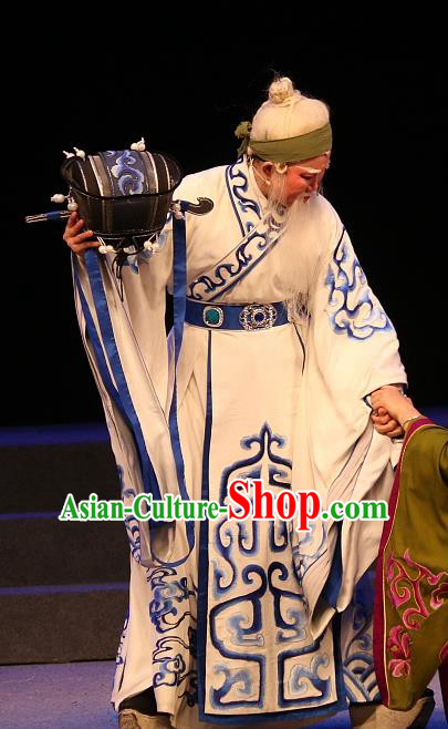 Chinese Yue Opera Elderly Male Costumes and Headwear Han Gong Yuan Shaoxing Opera Garment Official Huo Guang Apparels