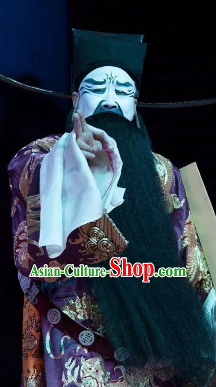 Chinese Classical Kun Opera Chancellor Official Costumes The Palace of Eternal Youth Apparels Peking Opera Old Man Garment Embroidered Robe and Hat