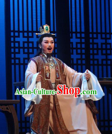 Chinese Shaoxing Opera Scholar Garment Yue Opera Shuang Fei Yi Male Apparels Costumes and Hair Accessories