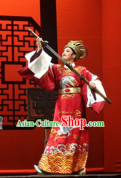 Chinese Shaoxing Opera Chancellor Red Official Garment Yue Opera Shuang Fei Yi Apparels Prime Minister Costumes and Hat
