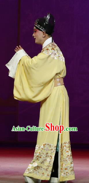 Chinese Classical Kun Opera The Purple Hairpin Young Male Apparels Peking Opera Scholar Costumes Li Yi Garment and Hat