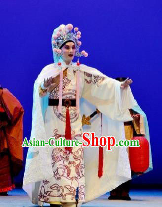 Chinese Classical Kun Opera Swordsman Garment The Purple Hairpin Peking Opera Niche Costumes Wusheng Apparels and Hat