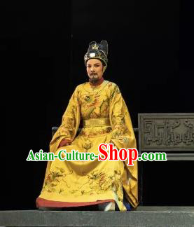Chinese Yue Opera Emperor Costumes and Headwear Shaoxing Opera Wang Yangming Laosheng Garment Apparels Imperial Robe
