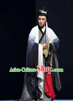 Wu Yi Lane Chinese Yue Opera Young Male Wang Huizhi Costumes Apparels and Headwear Shaoxing Opera Xiaosheng Scholar Garment Clothing
