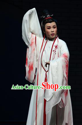 Chinese Yue Opera Scholar Wu Yi Lane Wang Huizhi White Costumes and Headwear Shaoxing Opera Xiaosheng Young Male Garment Apparels