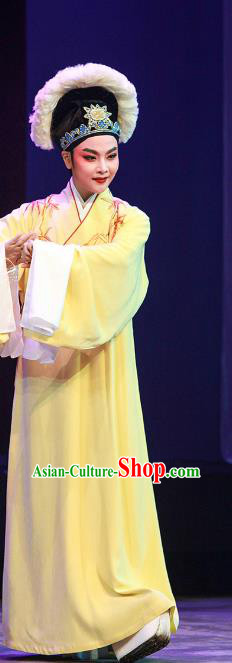 Legend of White Snake Chinese Yue Opera Scholar Apparels Costumes and Headwear Shaoxing Opera Young Male Xu Xian Embroidered Yellow Robe Garment