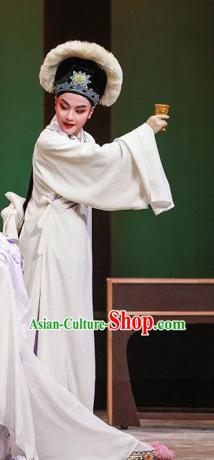 Legend of White Snake Chinese Yue Opera Scholar Xu Xian Apparels Costumes and Headwear Shaoxing Opera Young Male White Robe Garment