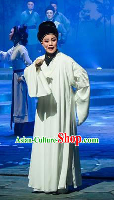Chinese Yue Opera Physician Chen Shigong Apparels and Headwear Ren Heart Medicine Shaoxing Opera Xiaosheng Garment Scholar Costumes