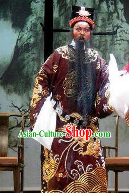 Chinese Yue Opera Laosheng Official Robe and Hat Shaoxing Opera Tian Dao Zheng Yi Garment Elderly Man Apparels Bao Zheng Costumes