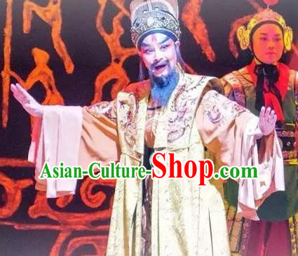 Cang Sheng Chinese Yue Opera Laosheng Elderly Male Apparels and Headwear Shaoxing Opera Emperor Qian Liu Garment Costumes