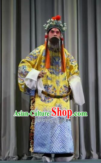 Bai Sui Gua Shuai Chinese Yue Opera Elderly Male Apparels and Headwear Shaoxing Opera Laosheng Emperor Garment Costumes
