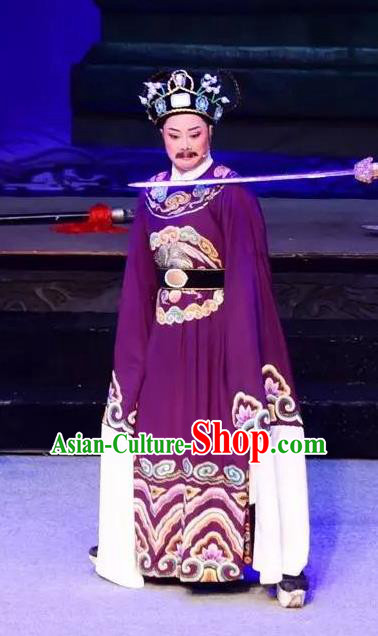 Mrs Dayi Chinese Yue Opera Treacherous Official Qin Hui Garment Costumes and Headwear Shaoxing Opera Laosheng Elderly Male Apparels