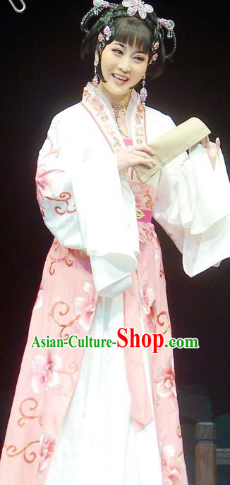 Chinese Shaoxing Opera Young Female Apparels Costumes and Headpieces Chuan Qi Lang Zi Yue Opera Xiao Dan Dress Garment