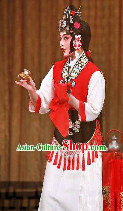 Chinese Kun Opera Hua Tan Pan Jinlian Costumes Apparels and Headpieces Heros Kunqu Opera Country Woman Dress Garment