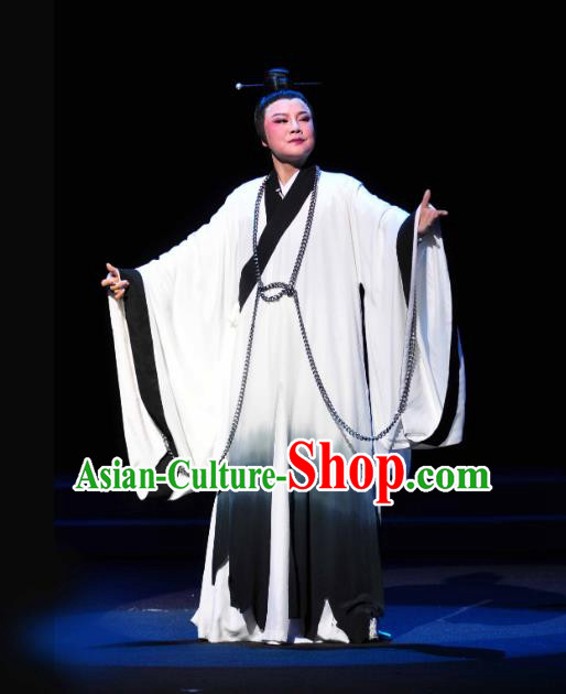 Chinese Yue Opera Scholar Zhang Lun Garment and Headwear Shaoxing Opera Xiaosheng Young Male Costumes