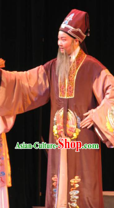 Three Charming Smiles Chinese Yue Opera Laosheng Garment Clothing and Headwear Shaoxing Opera Elderly Male Imperial Tutor Hua Apparels Costumes