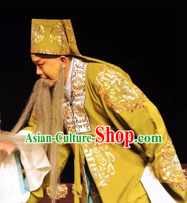 On A Wall and Horse Chinese Kun Opera Laosheng Garment Costumes and Headwear Kunqu Opera Elderly Male Li Shijie Apparels Clothing