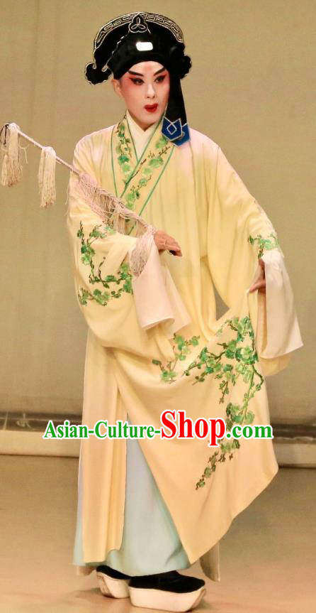Bai Luo Shan Chinese Kun Opera Xiaosheng Niche Apparels Garment Costumes and Headwear Kunqu Opera Scholar Xu Jizu Robe Clothing