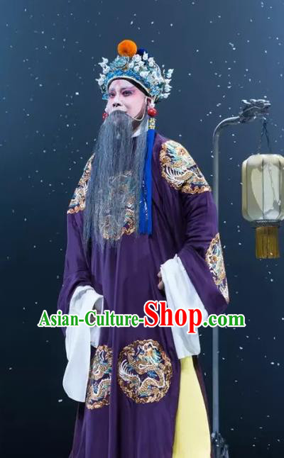 Rain on the Phoenix Tree Chinese Kun Opera Emperor Garment Costumes and Headwear Kunqu Opera Laosheng Apparels Informal Clothing