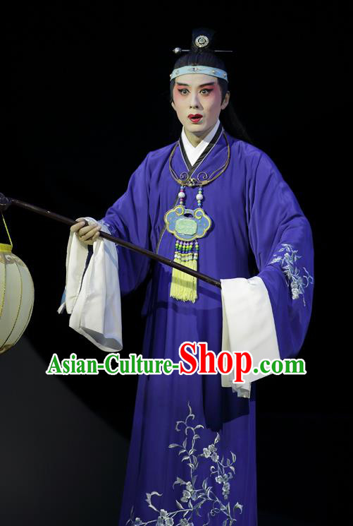 Chinese Kun Opera Apparels and Headwear Dream of Red Mansions Jia Baoyu Garment Costumes Kunqu Opera Young Male Purple Robe Clothing