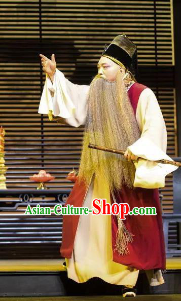 the Legend of Washing the Silk Gauze Chinese Kun Opera Laosheng Apparels Garment Costumes and Headwear Kunqu Opera Old Man Clothing