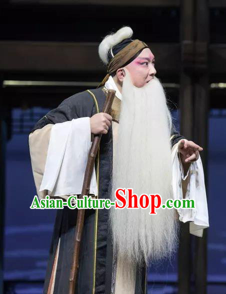 the Legend of Washing the Silk Gauze Chinese Kun Opera Elderly Male Apparels Garment Costumes and Headwear Kunqu Opera Old Man Clothing