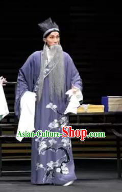 Gu Yanwu Chinese Elderly Male Apparels and Headwear Kunqu Opera Laosheng Garment Purple Robe Costumes
