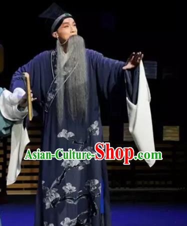 Gu Yanwu Chinese Elderlu Male Apparels and Headwear Kunqu Opera Laosheng Garment Purple Robe Costumes