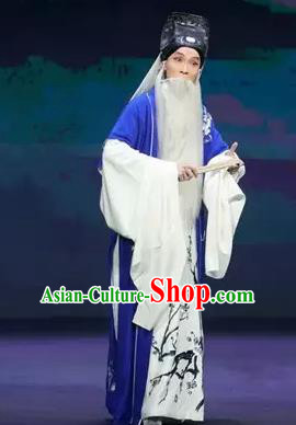 Gu Yanwu Chinese Old Man Apparels and Headwear Kunqu Opera Laosheng Garment Elderly Male Costumes
