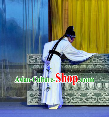 Chinese Yue Opera Scholar Liu Yanchang Apparels Pi Shan Jiu Mu Garment Shaoxing Opera Young Male Costumes Xiao Sheng White Embroidered Robe and Hat