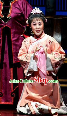 Chinese Huangmei Opera Young Mistress Li Niang Costumes Apparels and Headpieces Bu Yue Lei Chi Traditional Anhui Opera Female Dress Garment