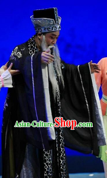Chuan Deng Chinese Huangmei Opera Elderly Male Apparels Costumes Kunqu Opera Old Landlord Garment Clothing and Headwear