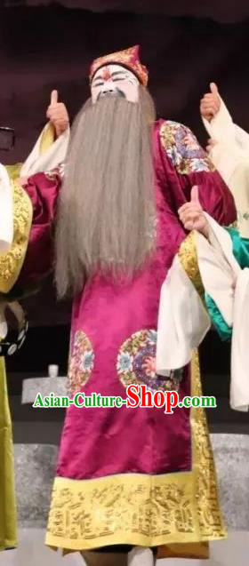 Zhu Meng Ji Chinese Kun Opera Elderly Male Costumes and Headwear Kunqu Opera Laosheng Garment Embroidered Robe Apparels