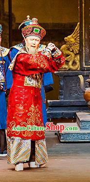 Chinese Huangmei Opera Elderly Chancellor Zhang Tingyu Da Qing Prime Minister Apparels Costumes and Headwear Kunqu Opera Garment Clothing Official Embroidered Robe