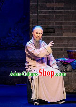 Chinese Huangmei Opera Old Man Zhang Tingyu Da Qing Prime Minister Apparels Costumes and Headwear Kunqu Opera Laosheng Garment Clothing