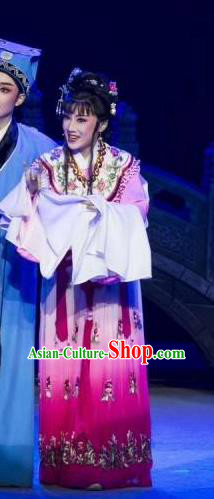 Chinese Shaoxing Opera Hua Tan Rich Lady Costumes The Pearl Tower Apparels Yue Opera Garment Actress Female Dress and Hair Accessories
