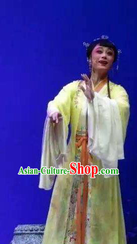 Chinese Shaoxing Opera Noble Lady Costumes Zhang Yu Niang Apparels Yue Opera Hua Tan Actress Yellow Dress Garment and Headpieces