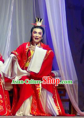 Chinese Shaoxing Opera Jiao Zhongqing Wedding Garment and Headwear Yue Opera The Peacocks Fly To The Southeast Bridegroom Apparels Costumes