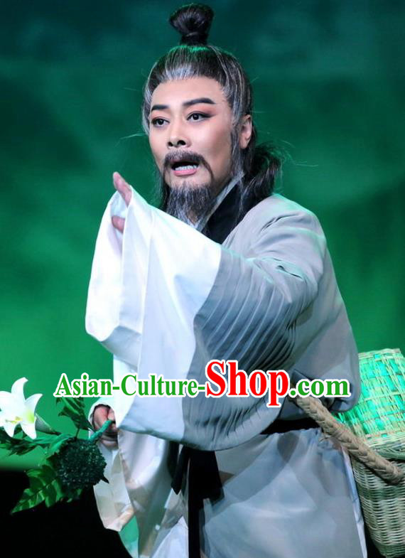 Chinese Huangmei Opera Elderly Male Costumes and Headwear Li Shizhen An Hui Opera Apparels Pharmacist Clothing