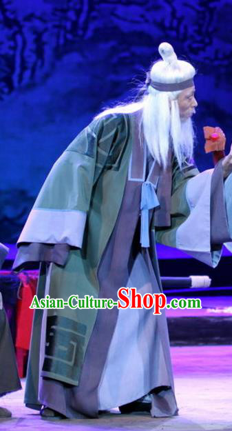 Chinese Huangmei Opera Laosheng Costumes and Headwear Li Shizhen An Hui Opera Elderly Male Apparels Clothing