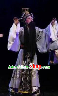 Li Li Fu Jian Chinese Huangmei Opera Minister Costumes and Headwear An Hui Opera Laosheng Apparels Official Clothing