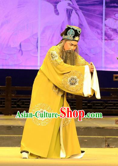 Chinese Huangmei Opera Landlord Female Consort Prince Garment Costumes and Headwear An Hui Opera Elderly Male Feng Shunqing Apparels Clothing